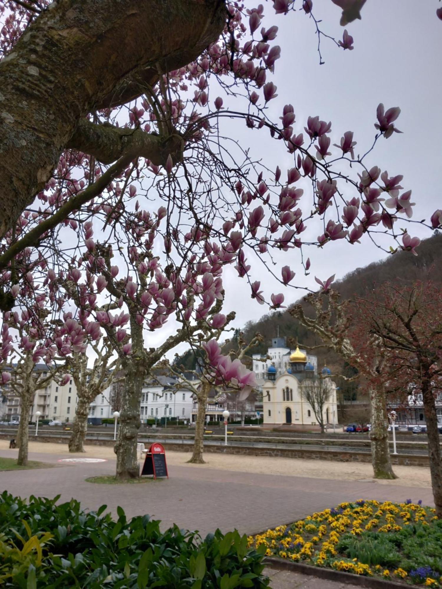 Ferienwohnung Im Roten Haus, Die Therme Ist Fusslaeufig In Wenigen Minuten Erreichbar Bad Ems Buitenkant foto